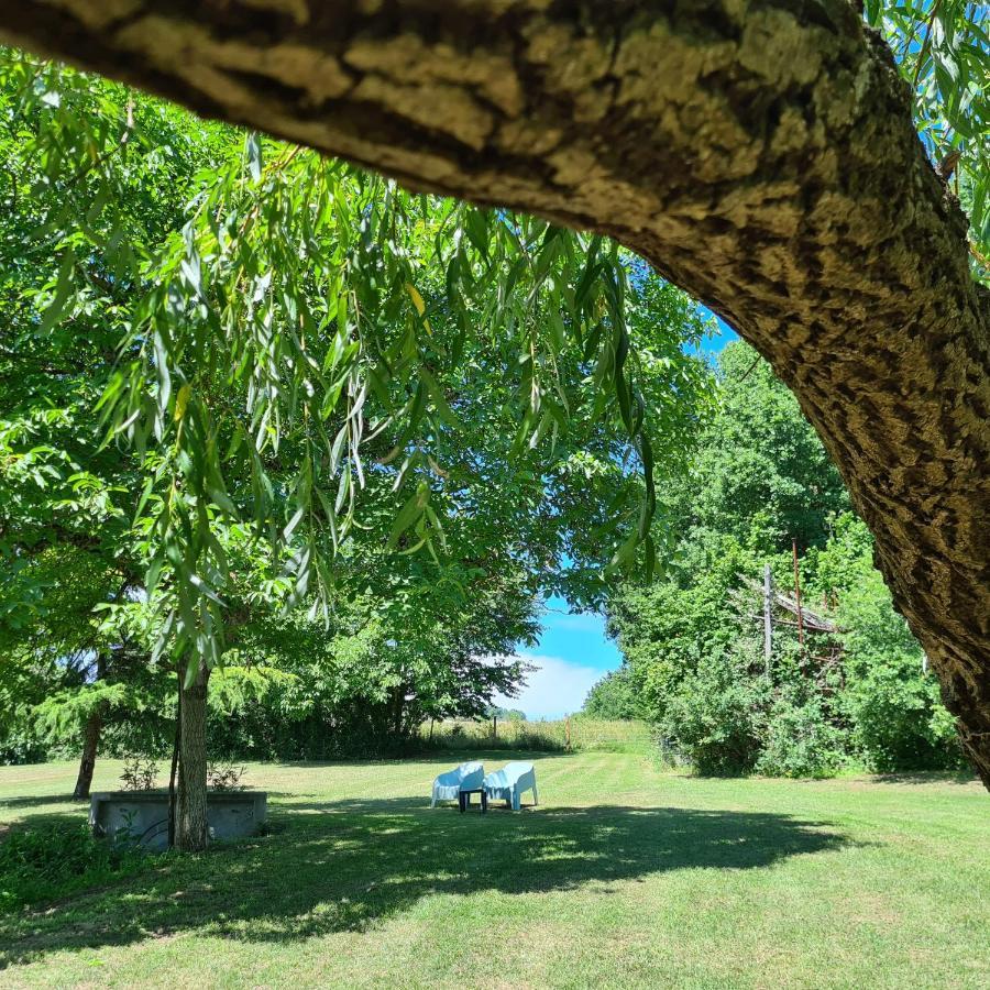 Le Coq En Repos Bed and Breakfast Saint-Sylvestre-sur-Lot Exteriör bild