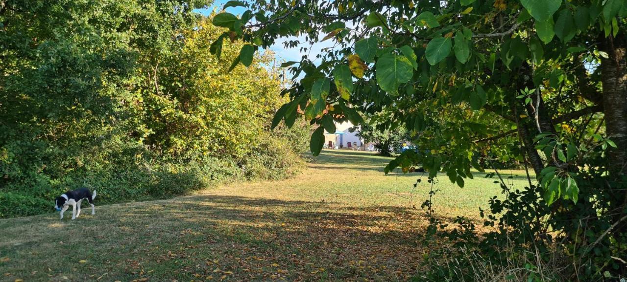 Le Coq En Repos Bed and Breakfast Saint-Sylvestre-sur-Lot Exteriör bild